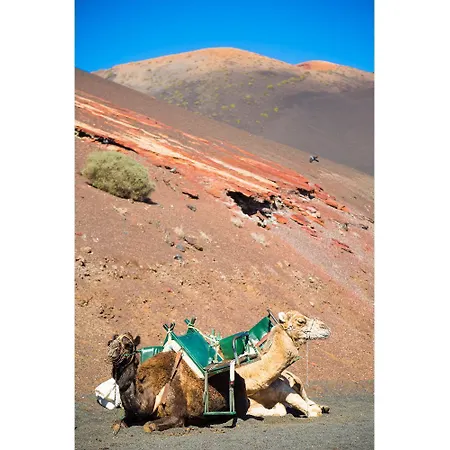 Βίλα Dulce Tías